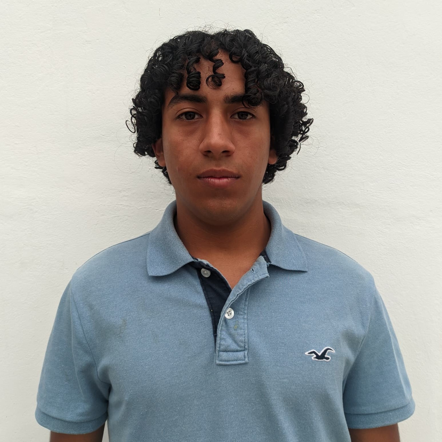 perfil